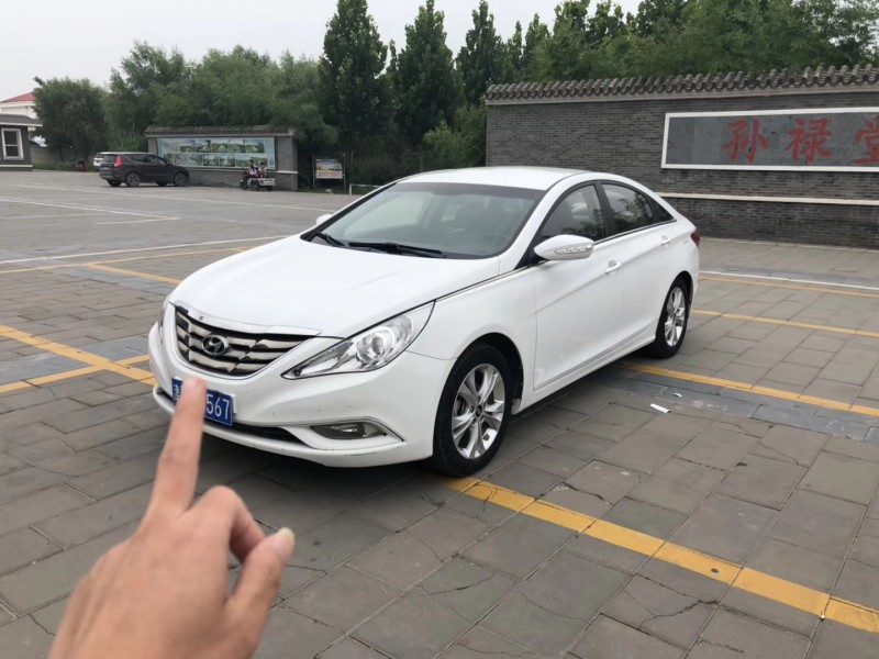 13年斯太尔Haflinger