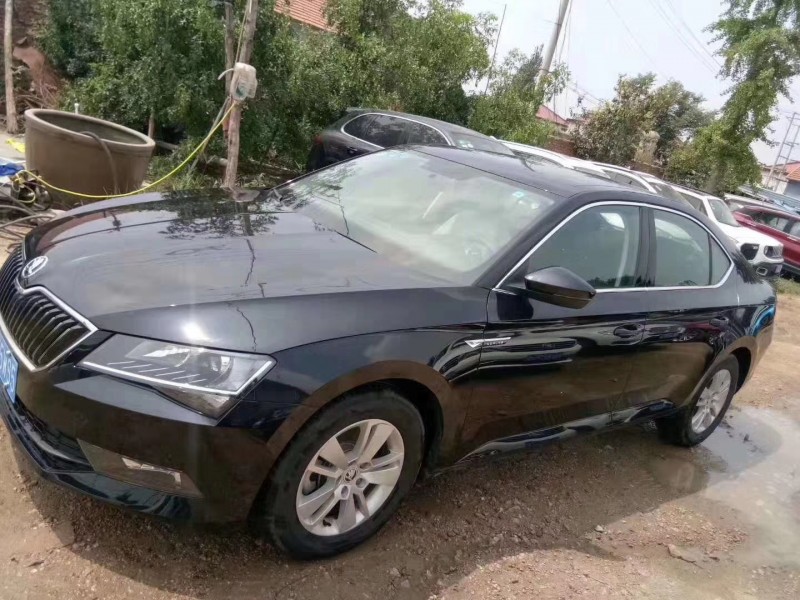 19年斯柯达速派