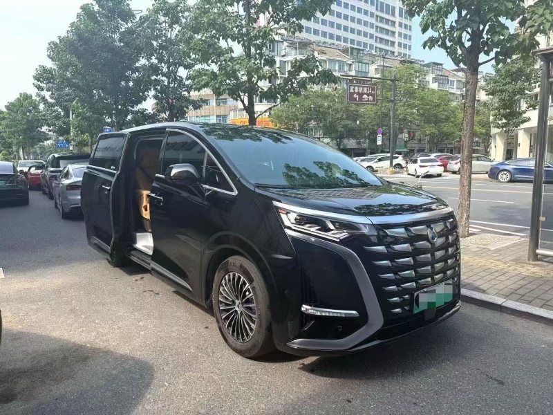 24年东莞市腾势D9