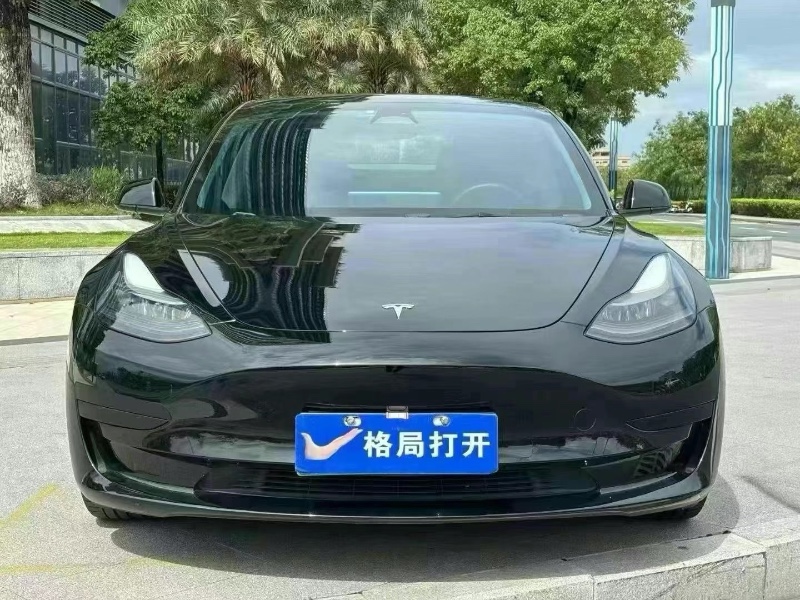22年东莞市特斯拉MODEL 3