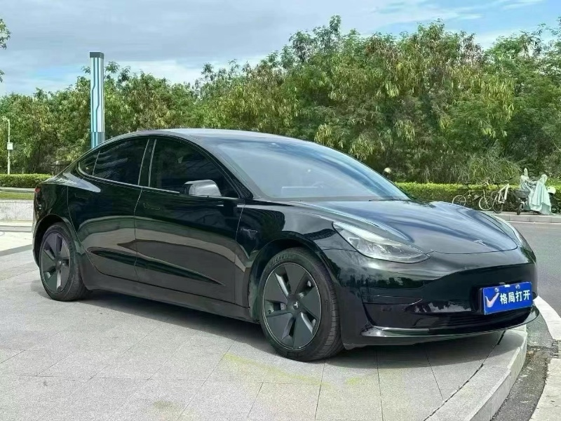 22年东莞市特斯拉MODEL 3