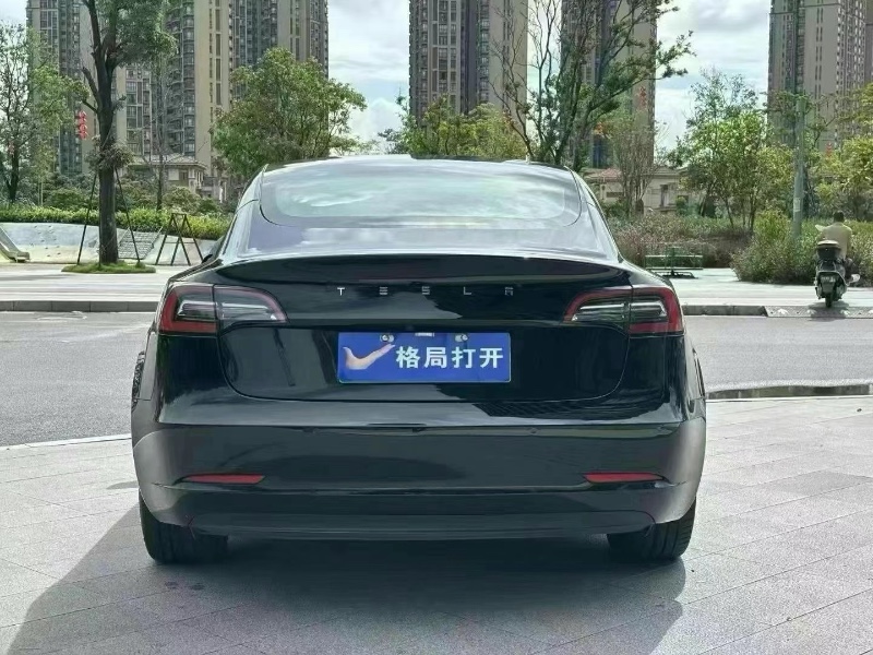 22年东莞市特斯拉MODEL 3