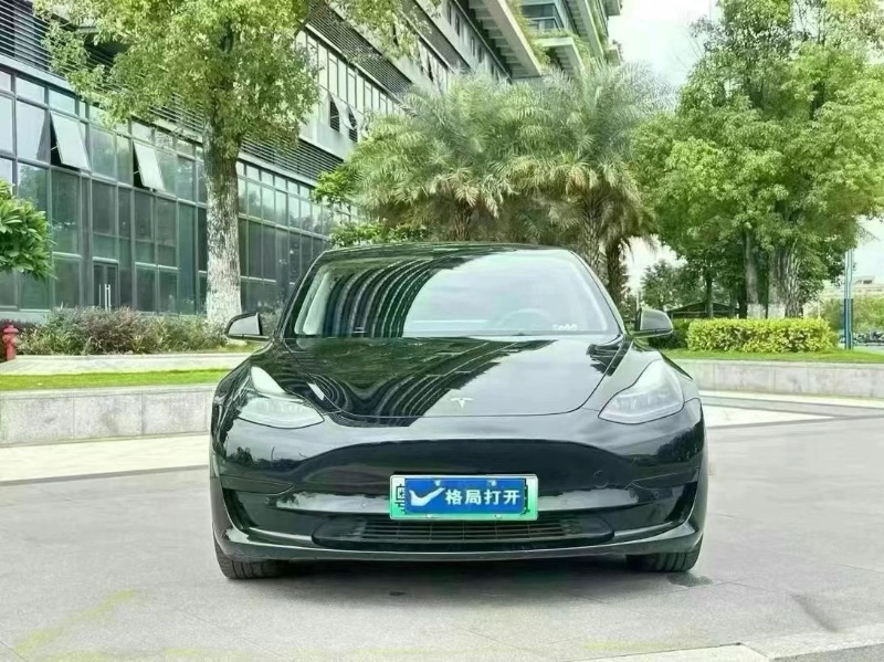 21年东莞市特斯拉MODEL 3