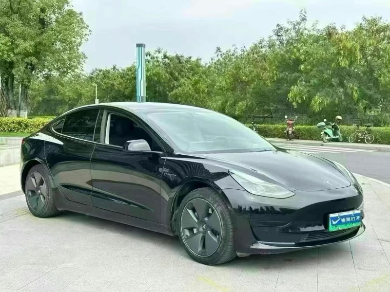 21年东莞市特斯拉MODEL 3