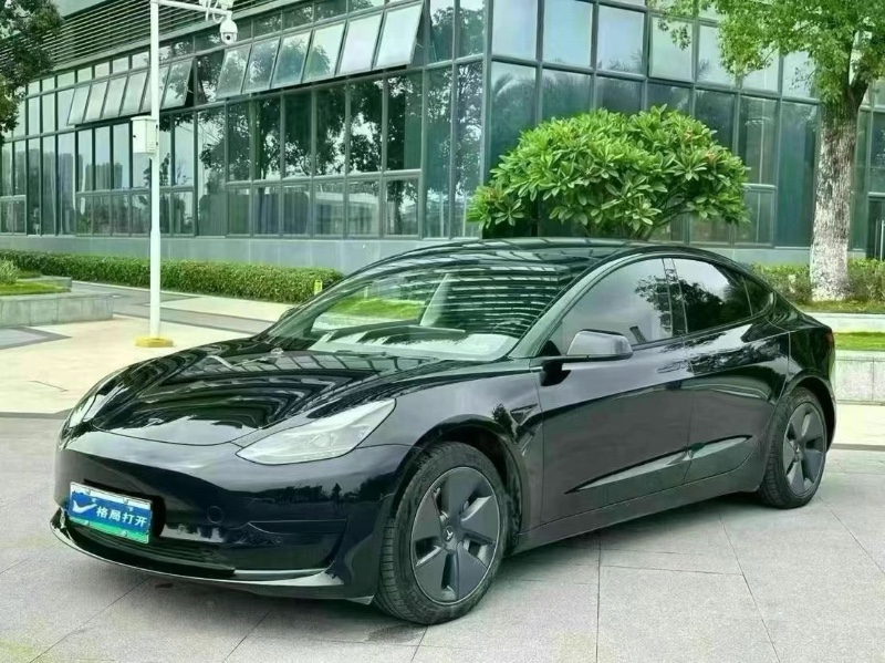 21年东莞市特斯拉MODEL 3