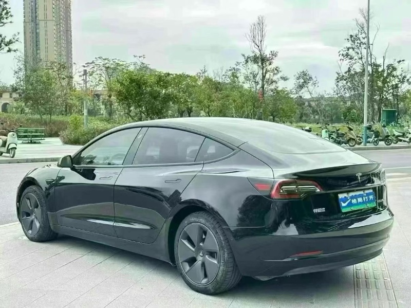 21年东莞市特斯拉MODEL 3
