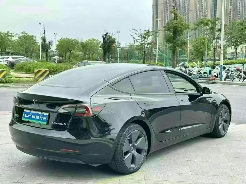 21年东莞市特斯拉MODEL 3