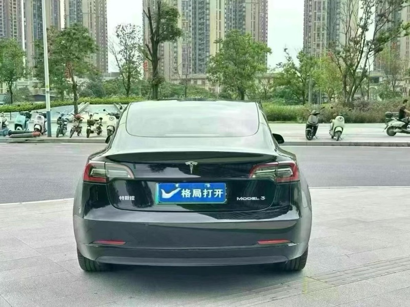 21年东莞市特斯拉MODEL 3