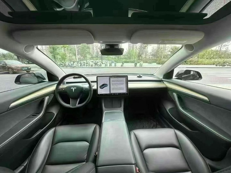 21年东莞市特斯拉MODEL 3